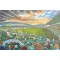Windsor Park Stadium Fine Art Print - Northern Ireland